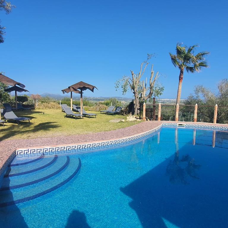 a swimming pool in a field with a palm tree at Es Colomer in Petra