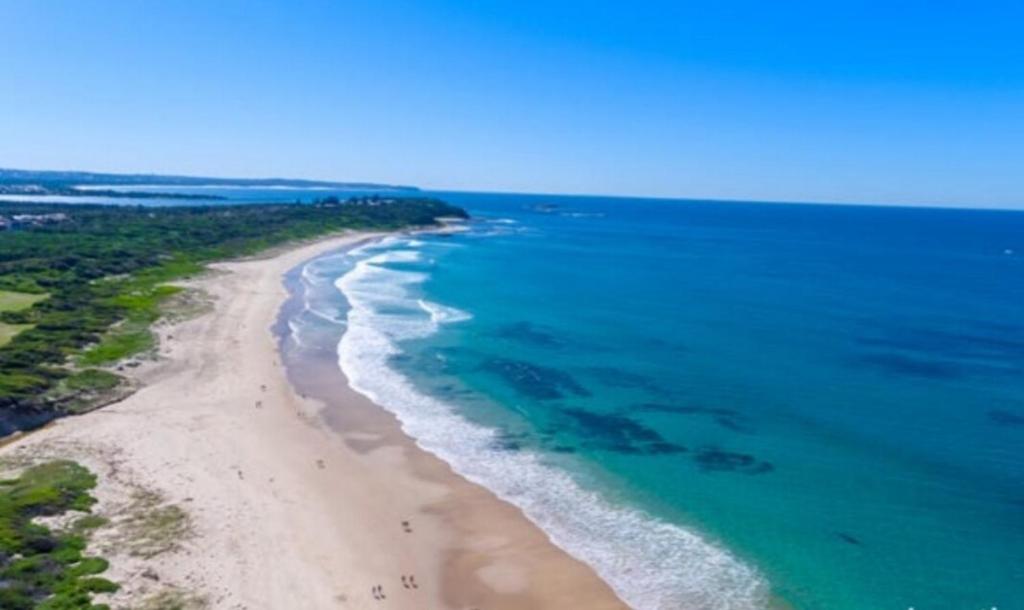 an aerial view of a beach and the ocean at Surfside Getaway Caves Beach Absolute Beachfront in Caves Beach