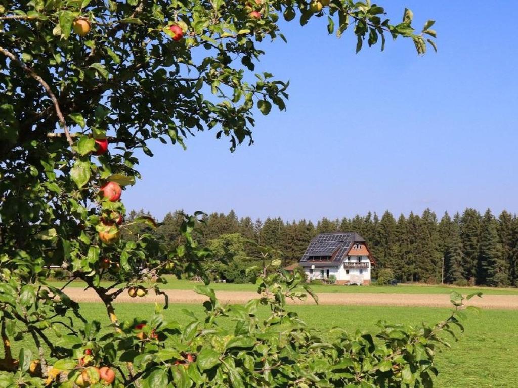 an apple tree in front of a field with a house at Ferienwohnung Beim Falkner, 60qm in Königsfeld im Schwarzwald