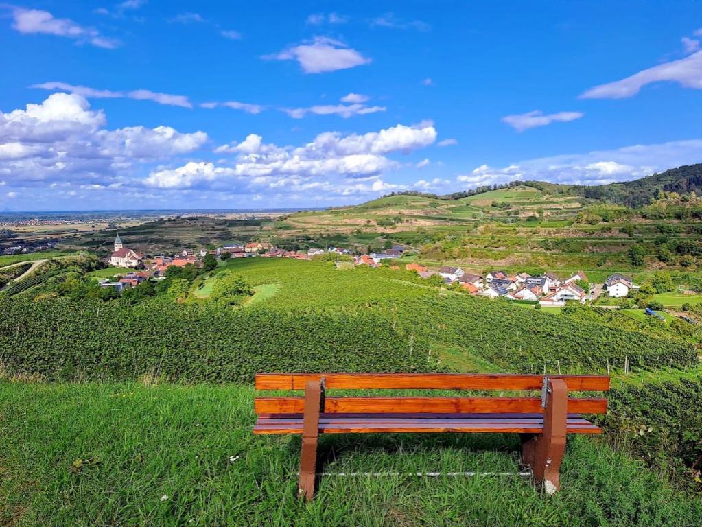 a wooden bench sitting on top of a hill at Gästehaus Weingut Mangel in Endingen