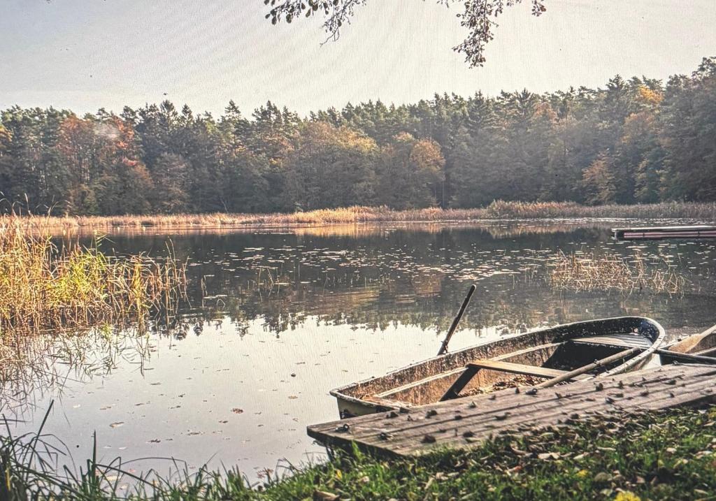 a wooden boat sitting on the shore of a lake at Kolbatzer Mühle in Lychen