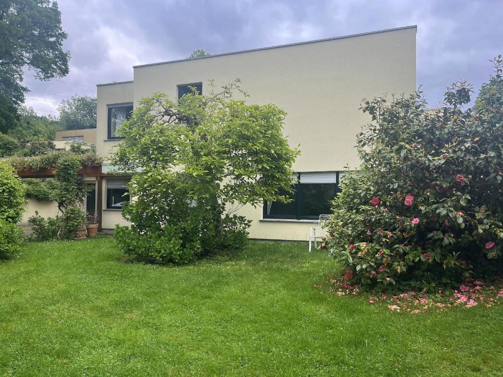 Jardí fora de Haus Molnar