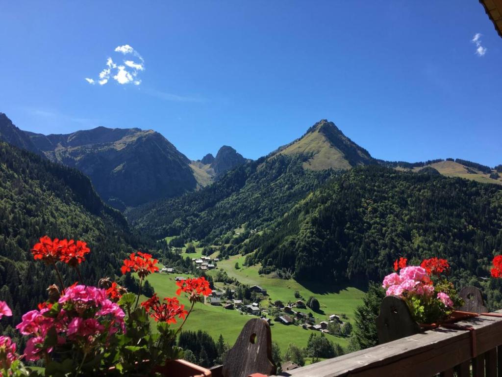 a view of a valley with flowers and mountains at Chalet La Grangette in Abondance