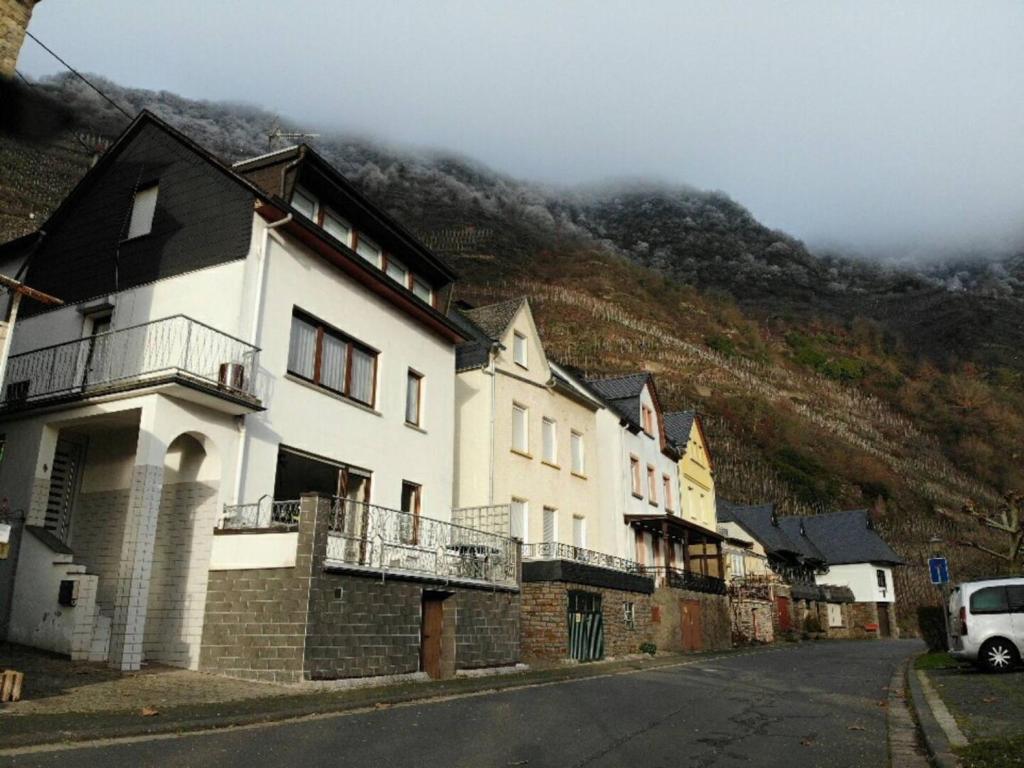 a row of houses on a street with a mountain at Haus Moselschleife in Bremm