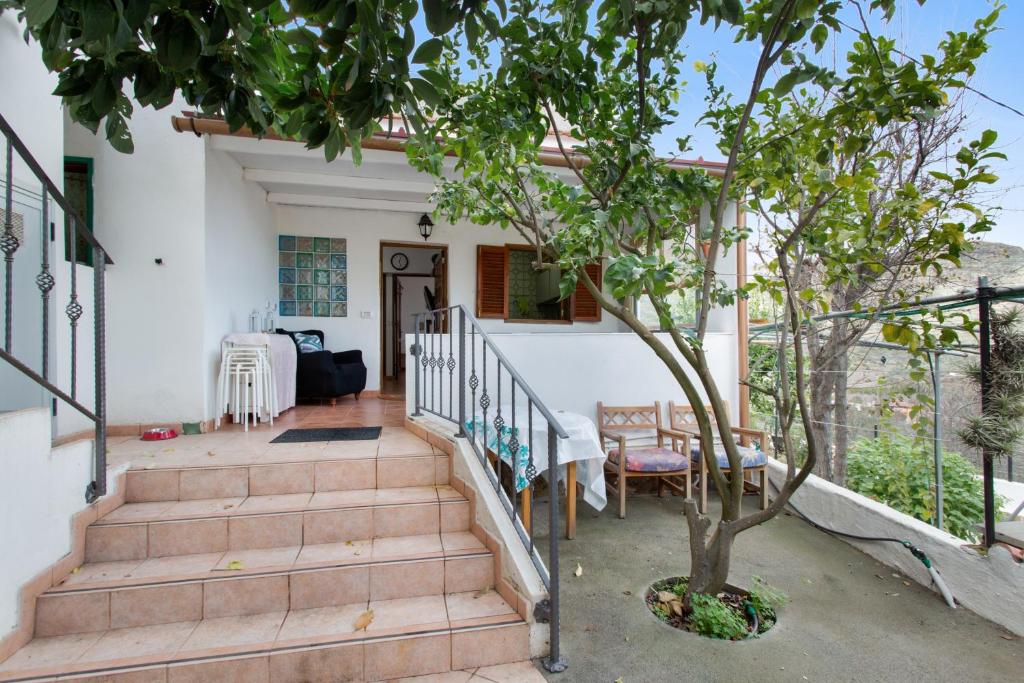 a staircase in a house with a tree at Villa Alejo in Valsequillo