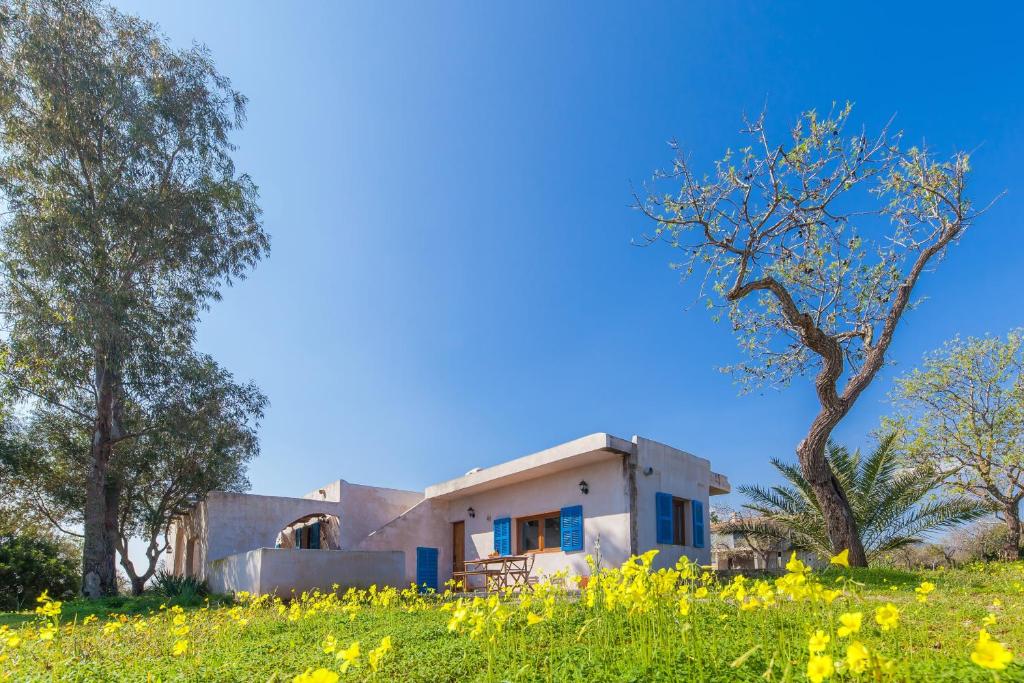 a house in a field of yellow flowers at Sa Casona in Portocolom