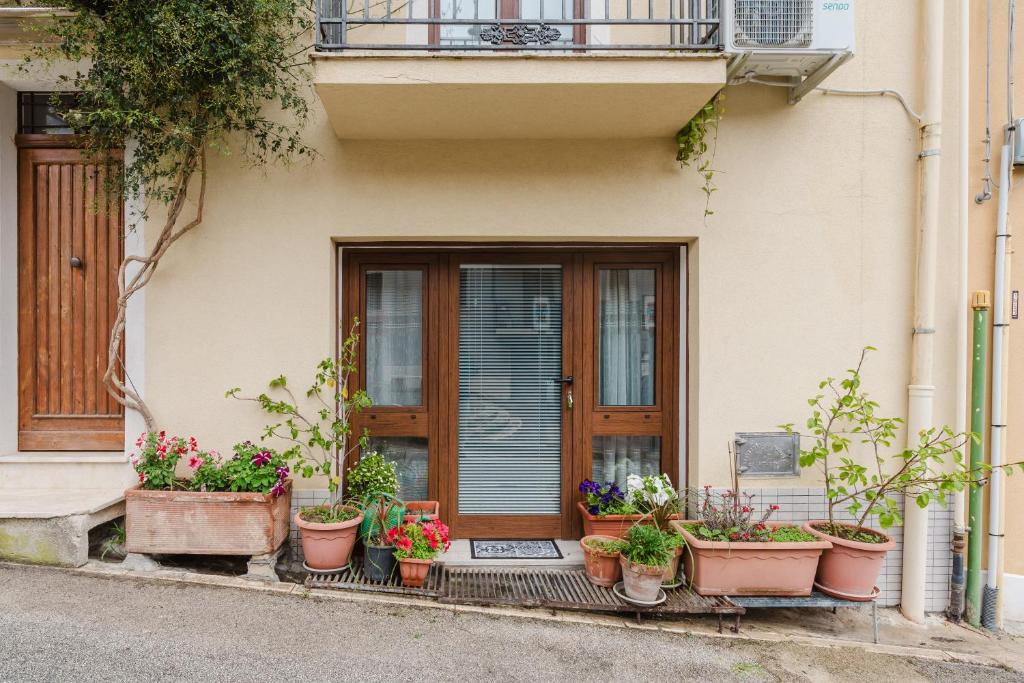 a bunch of potted plants in front of a door at Ai Cannola - Calatafimi Segesta in Calatafimi