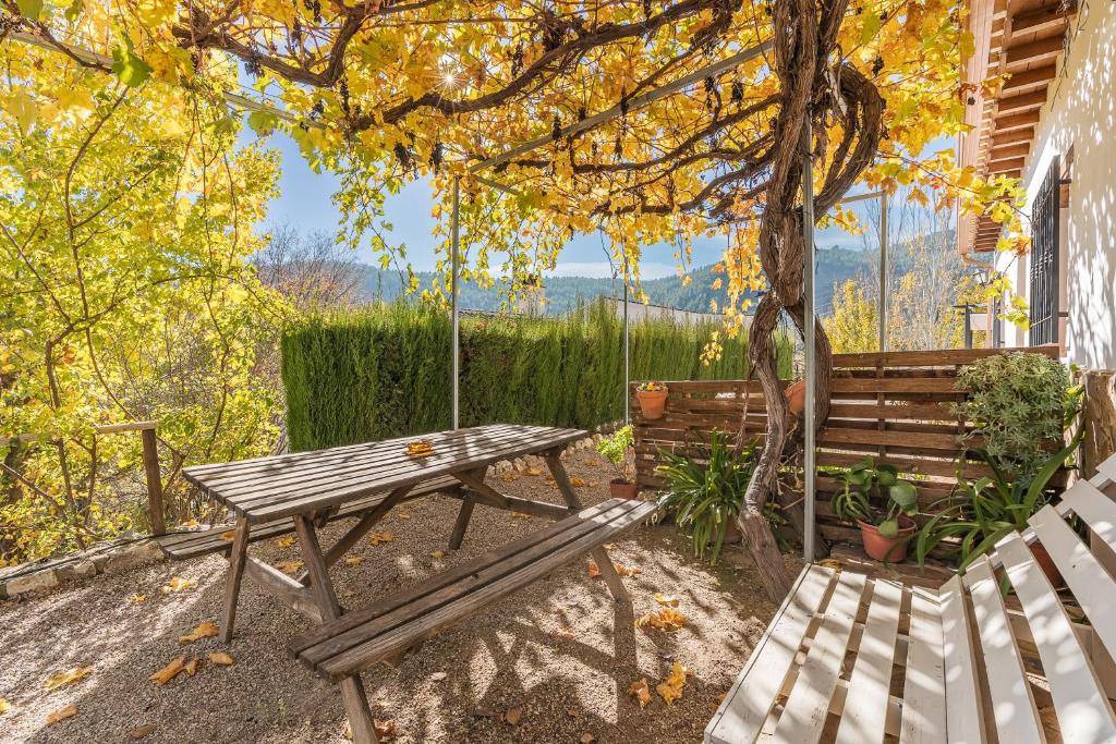 a picnic table and a bench under a tree at Casa Rocío Castril in Castril