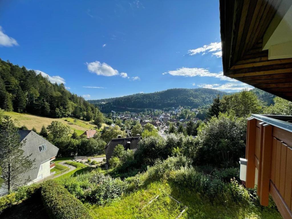 a view of a town from a house at Panorama Apartment Todtmoos in Todtmoos