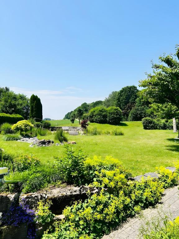 a garden with yellow and purple flowers in a field at Haus Birkenösch in Aach-Linz
