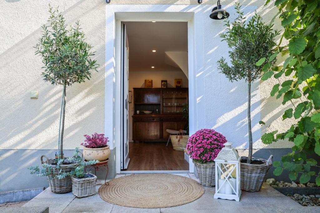 an open door with potted plants in a hallway at Second Home in Birlenbach