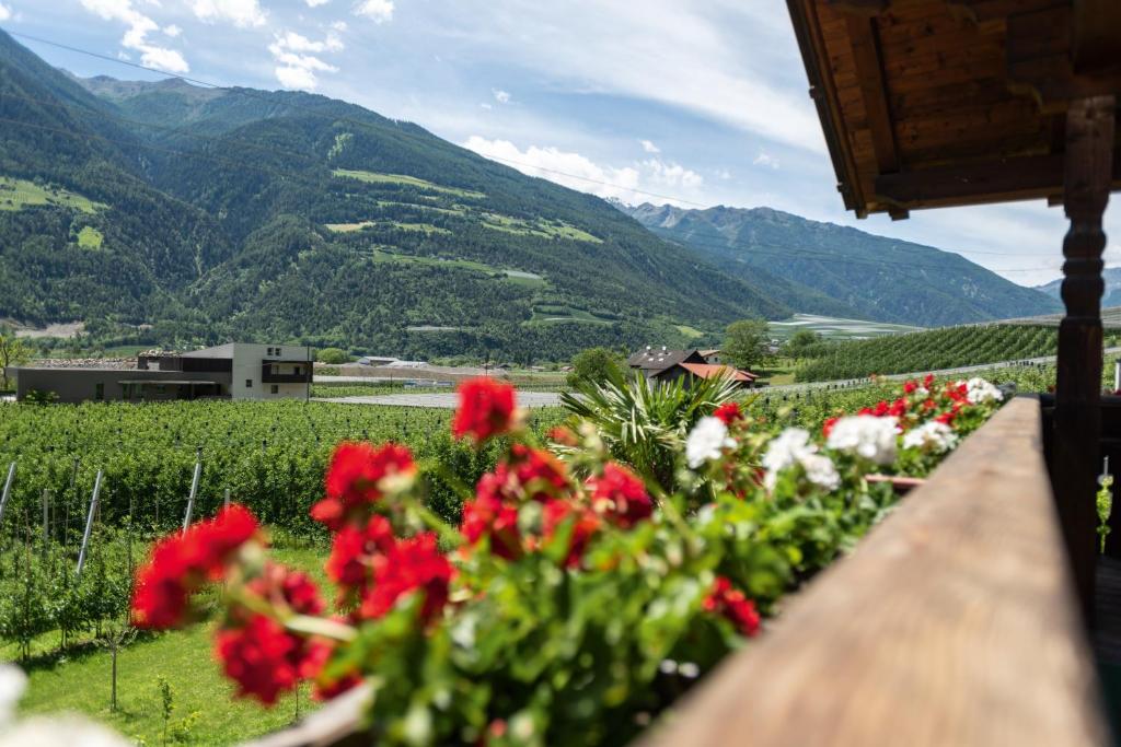 a field of flowers with mountains in the background at Pixnerhof - Ferienwohnung Gala in Kastelbell-Tschars