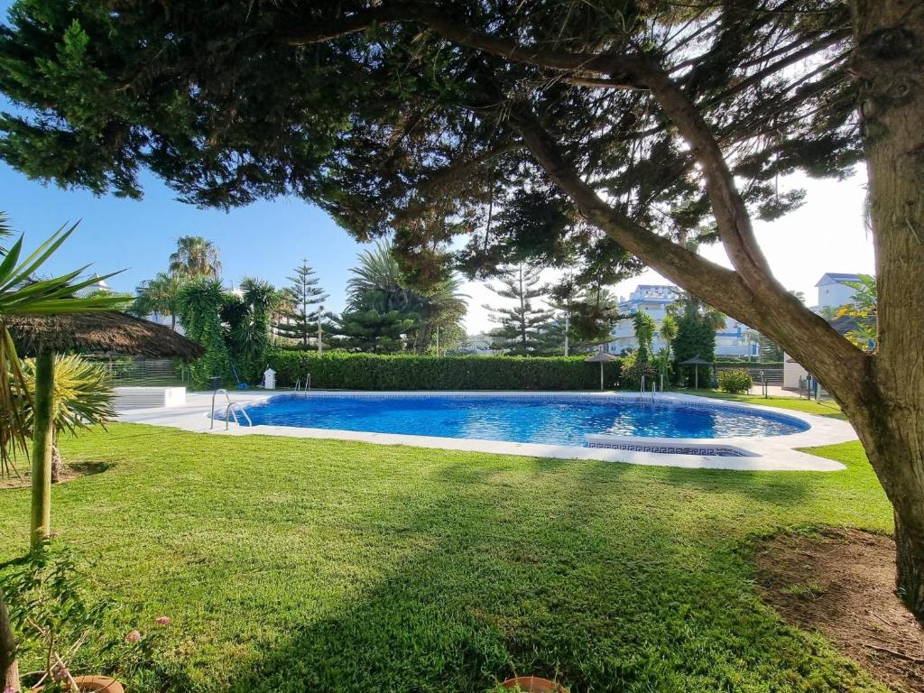 a swimming pool in a yard with a tree at Apartamento Rincón La Ballena in Rota