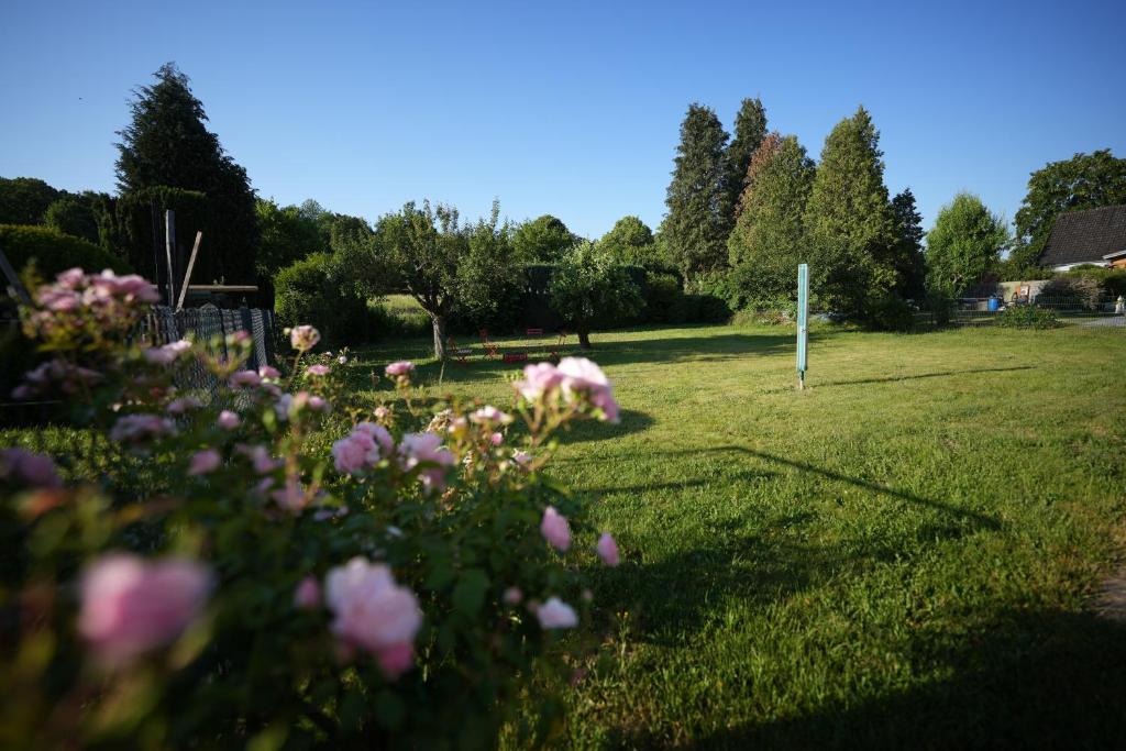 a field with pink flowers in the grass at Ferienwohnung Mi Ka mit Garten in Limburg an der Lahn