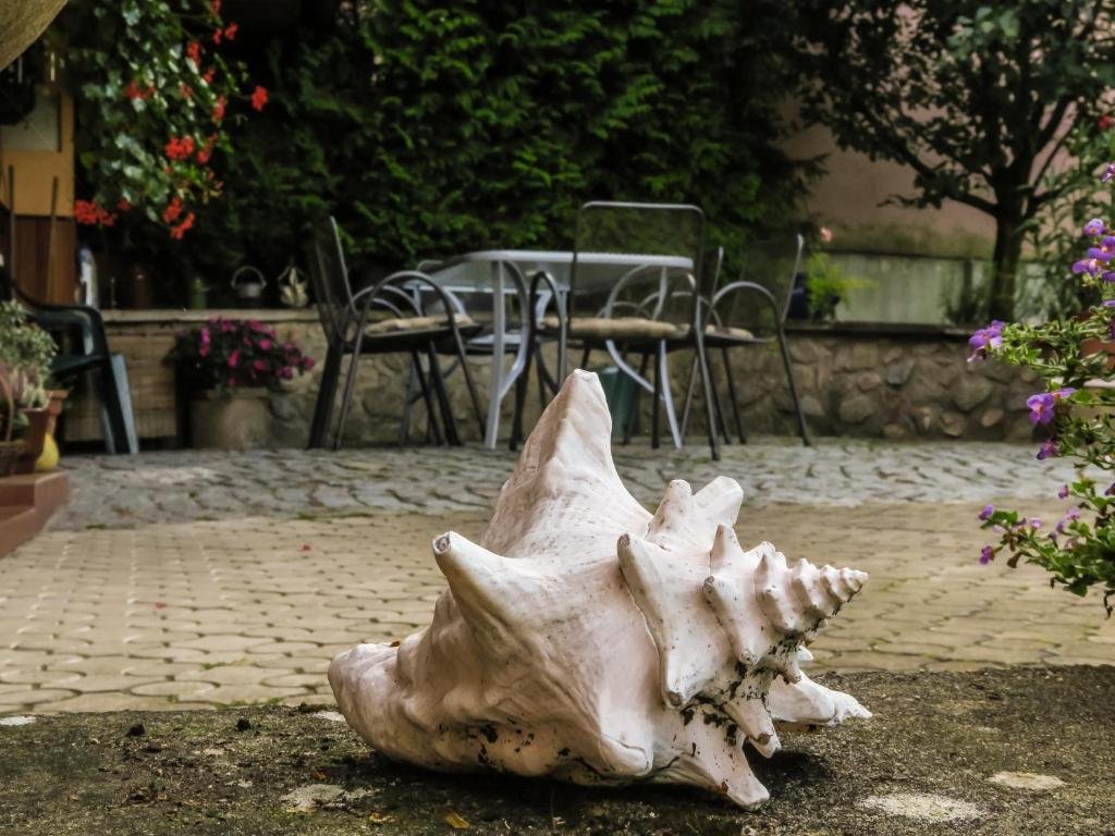 Fotografie z fotogalerie ubytování Apartment LIVI v destinaci Mikulov