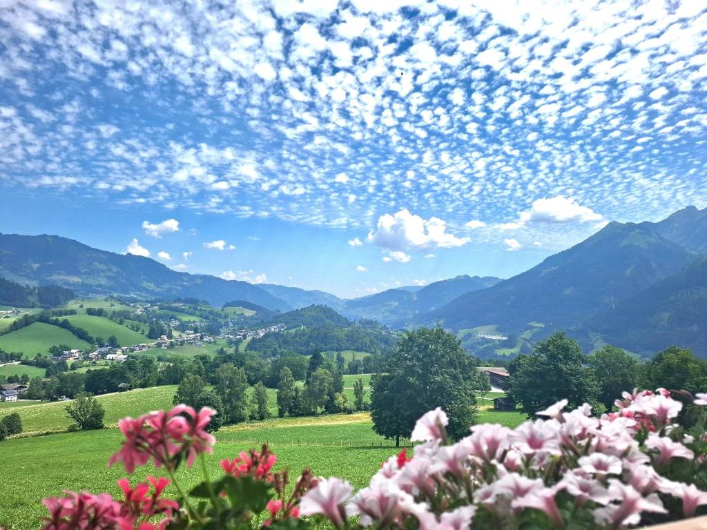 a view of a valley with mountains and flowers at Knollgut Ferienwohnung Buchberg in Goldegg