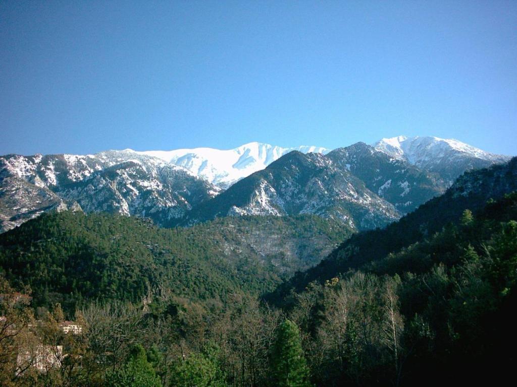 a mountain range with snow covered mountains with trees at F1 Massif du Canigou in Vernet-les-Bains