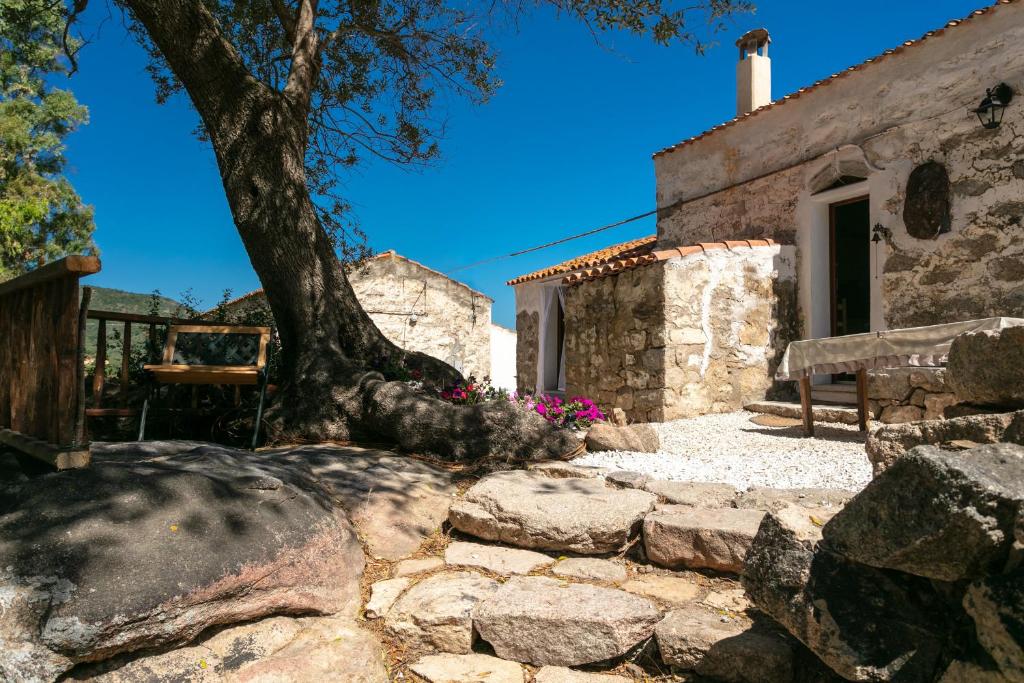 a house with a tree in front of it at Casa vacanza Stazzu Saiacciu in Palau