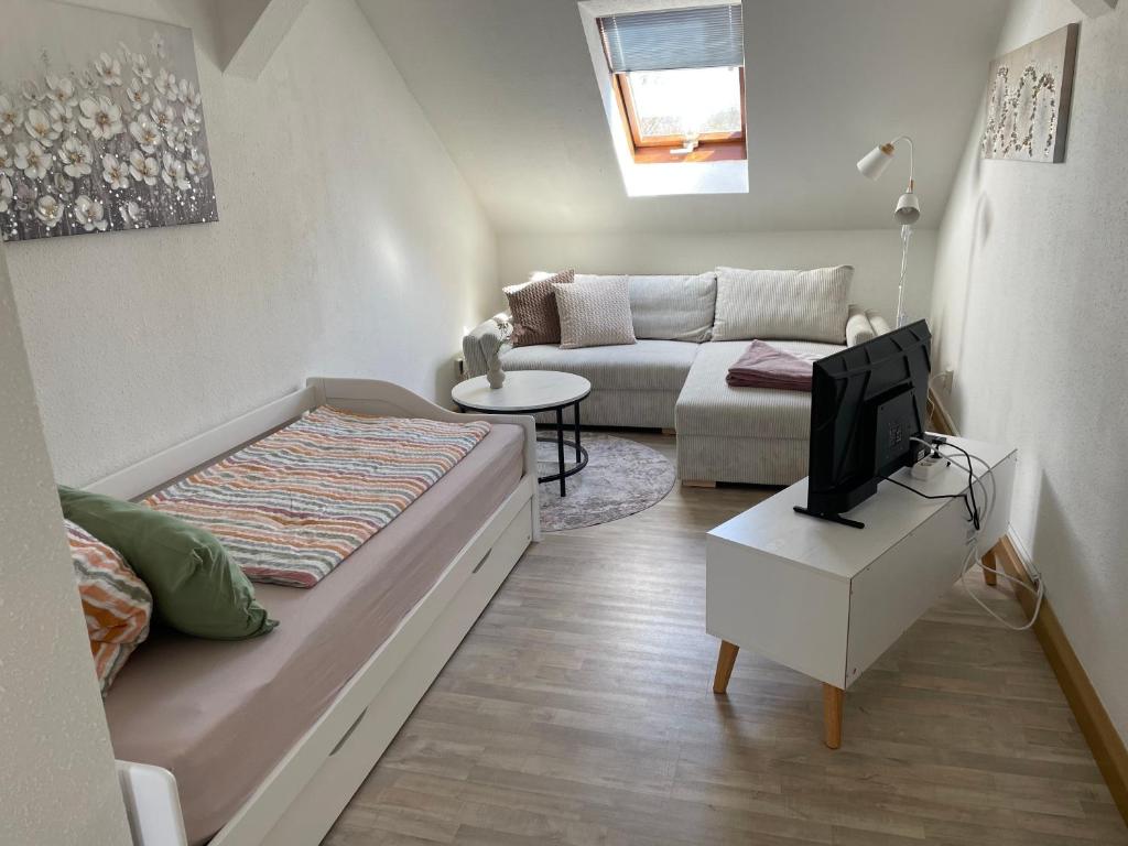 a small living room with a couch and a tv at Mein kleines Reich in Zwickau
