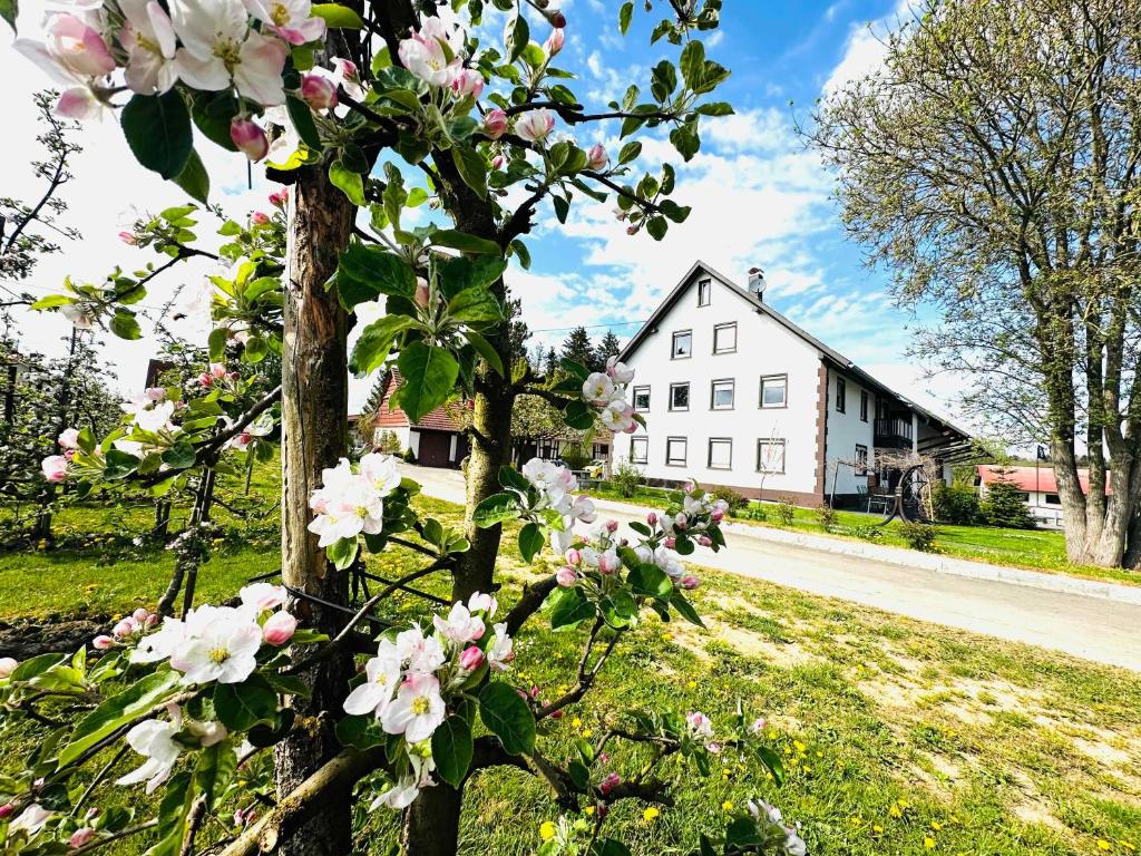 a tree with pink flowers in front of a house at Bauernhofwohnung Friedrichshafen in Friedrichshafen