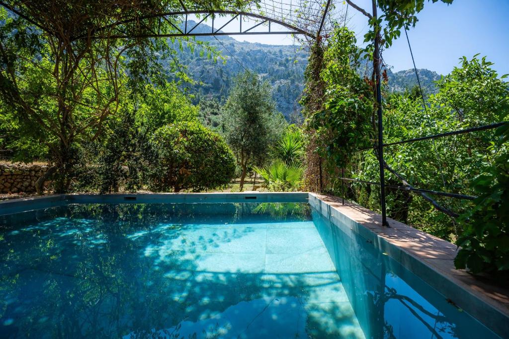 a swimming pool with a view of the mountains at Sa Cabana d'es Vicari in Fornalutx