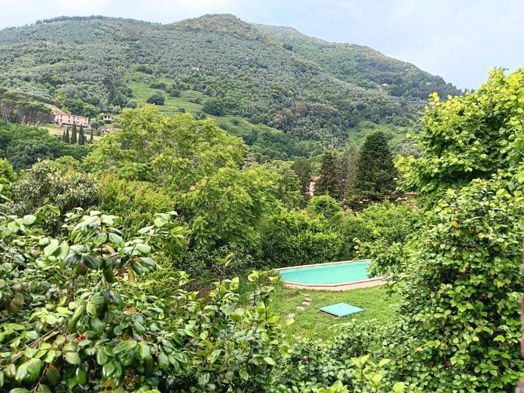 a swimming pool surrounded by trees and a mountain at Villa con parco e piscina-Camaiore in Nocchi