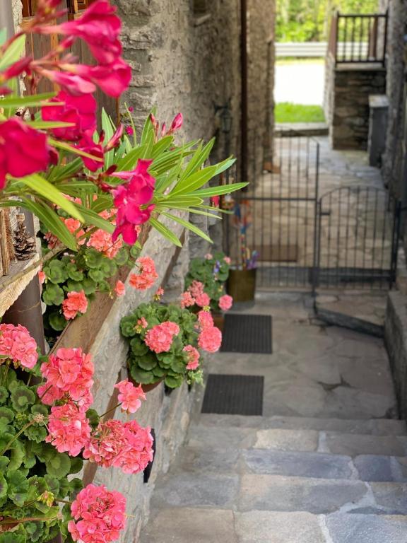 a bunch of pink flowers on a stone wall at Maison Maribel in Pré-Saint-Didier