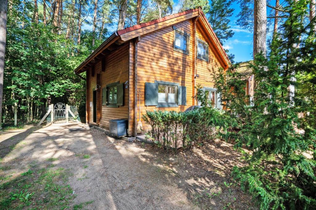 a small wooden house in the middle of a forest at Haus Reiher in Lychen