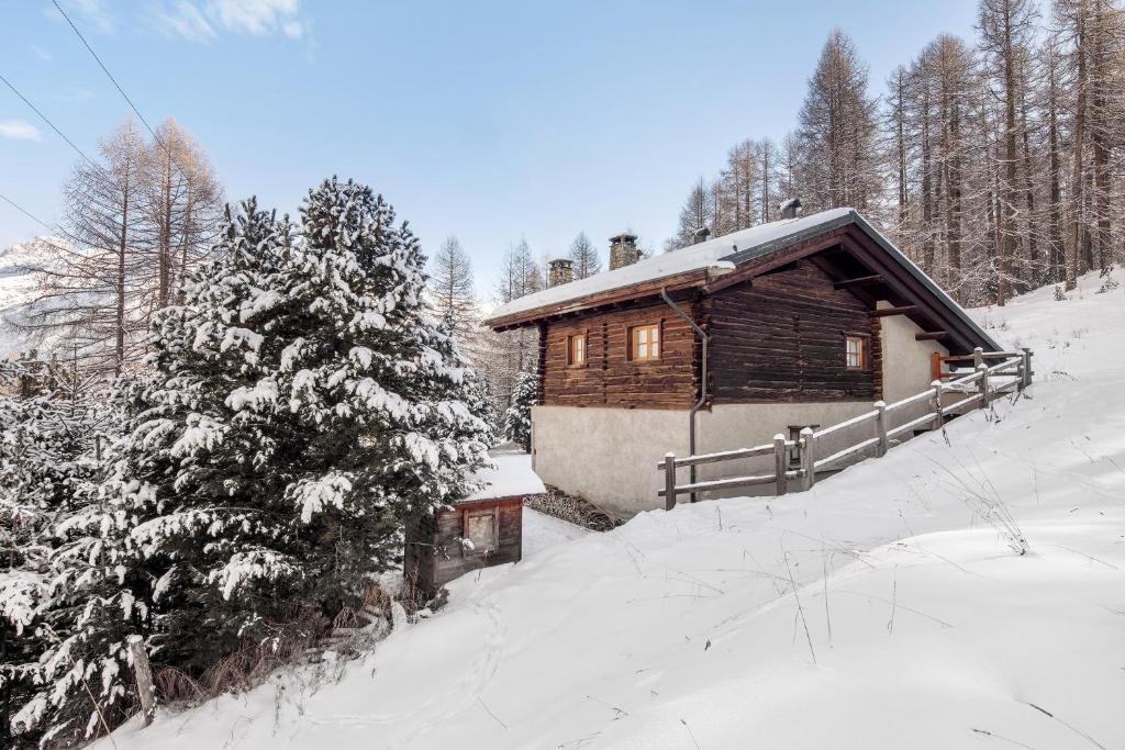 a wooden cabin in the snow with a tree at Chalet Royal in Livigno
