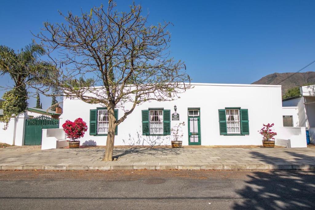 a white house with green shutters and a tree at De Kothuize 166 in Graaff-Reinet