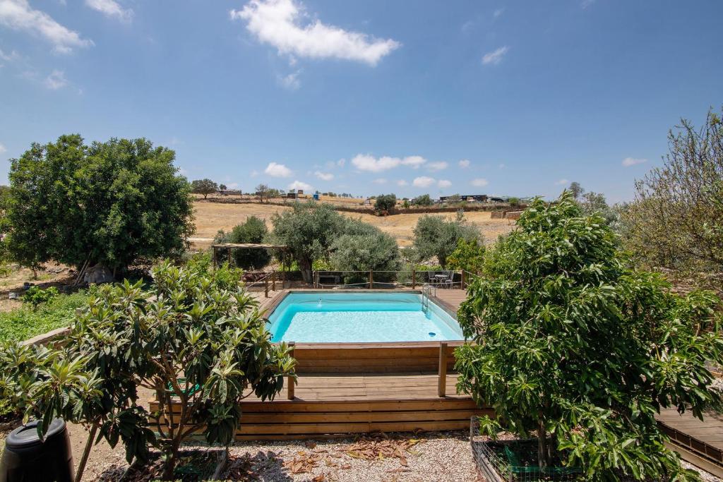 a swimming pool in a yard with two trees at Recanto d'Aldeia in Alcoutim