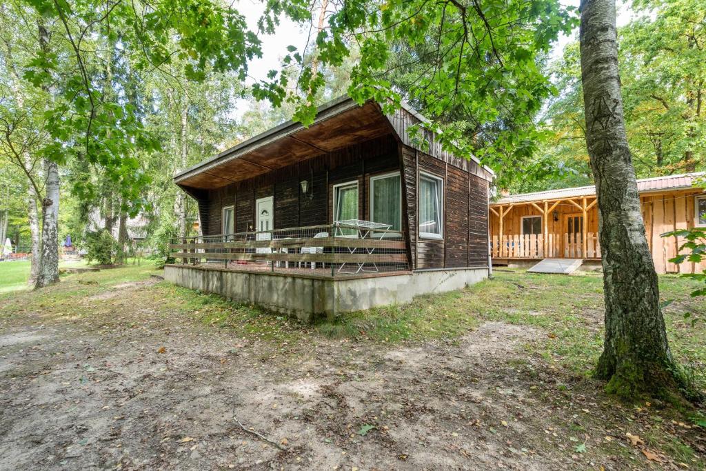 a cabin in the woods with a tree at Bungalow 15 - Finnhütte in Niesky