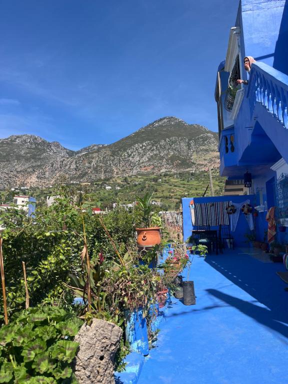 a view of a blue building with plants and mountains at Casa laila in Chefchaouen