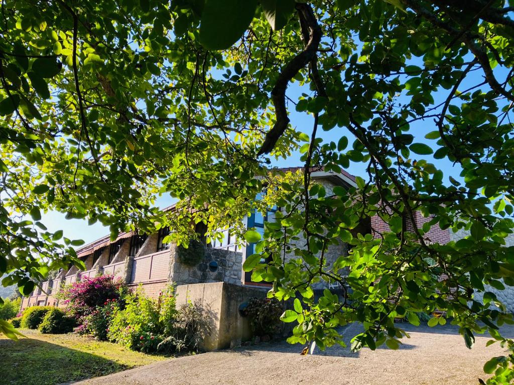 a house is seen through the leaves of a tree at Hotel Finca Los Venancios in Bones