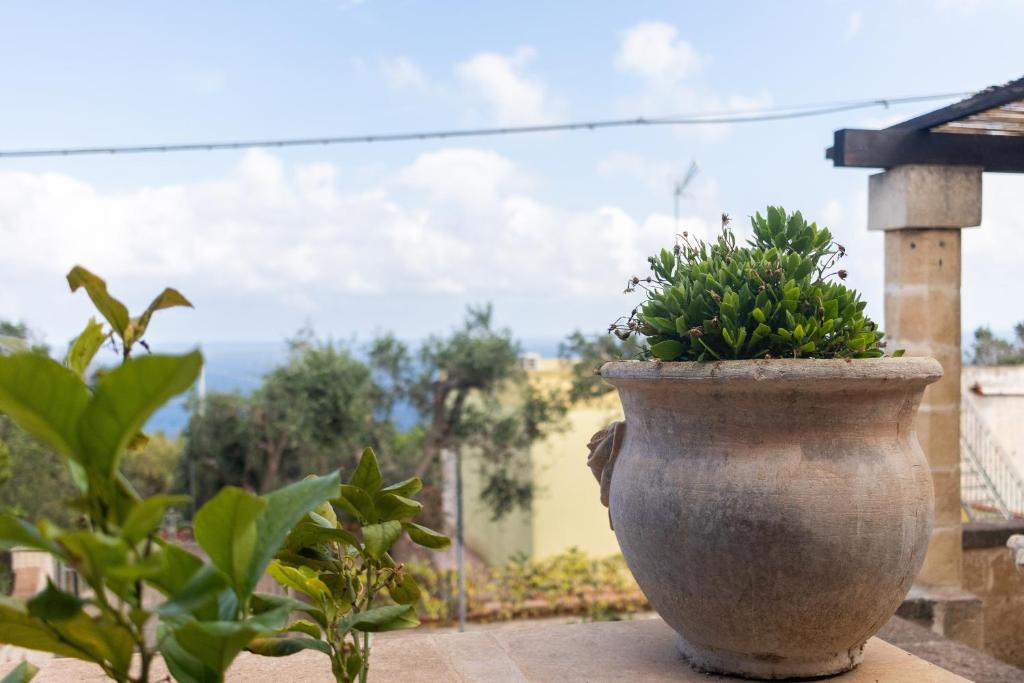 a large stone vase with a plant in it at Villa Serra in Marina Serra