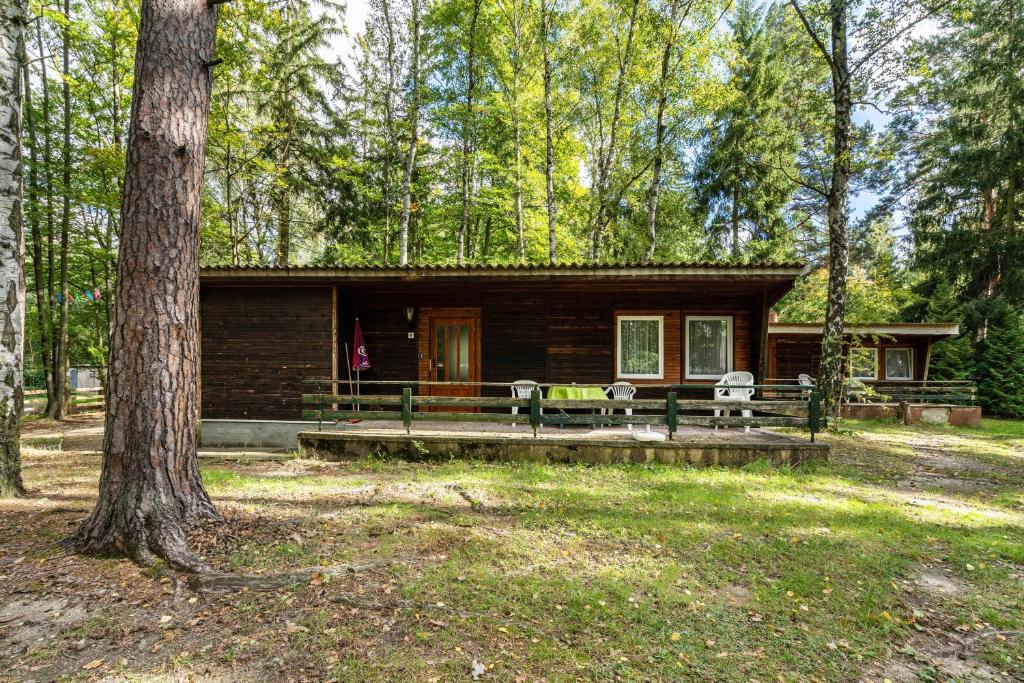 a log cabin in the woods with two chairs at Bungalow 6 - Finnhütte in Niesky