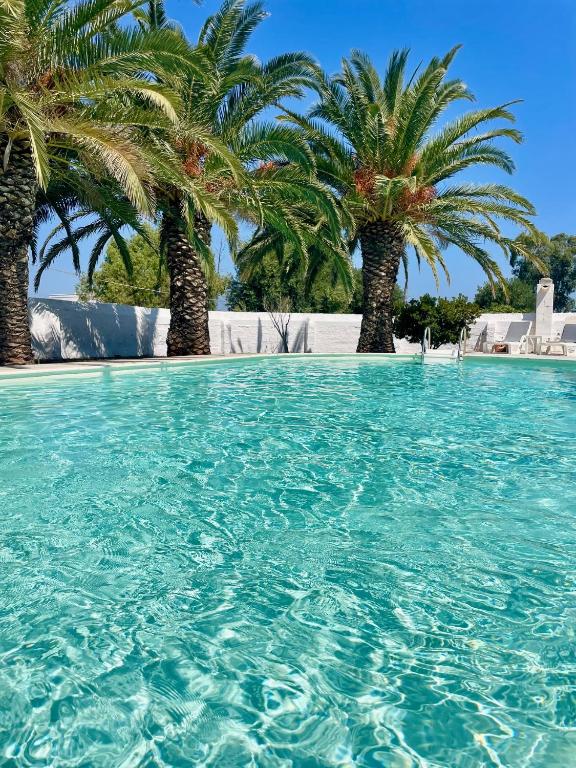 a swimming pool with palm trees in the background at Masseria Rienzo in Ostuni