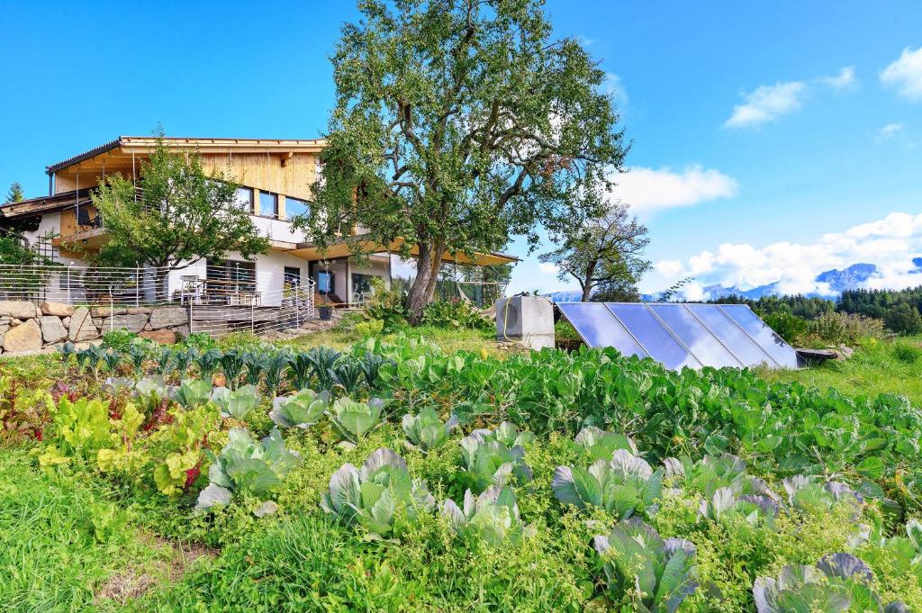 ein Feld mit Getreide vor einem Haus in der Unterkunft Kesselmoos in Deutschnofen