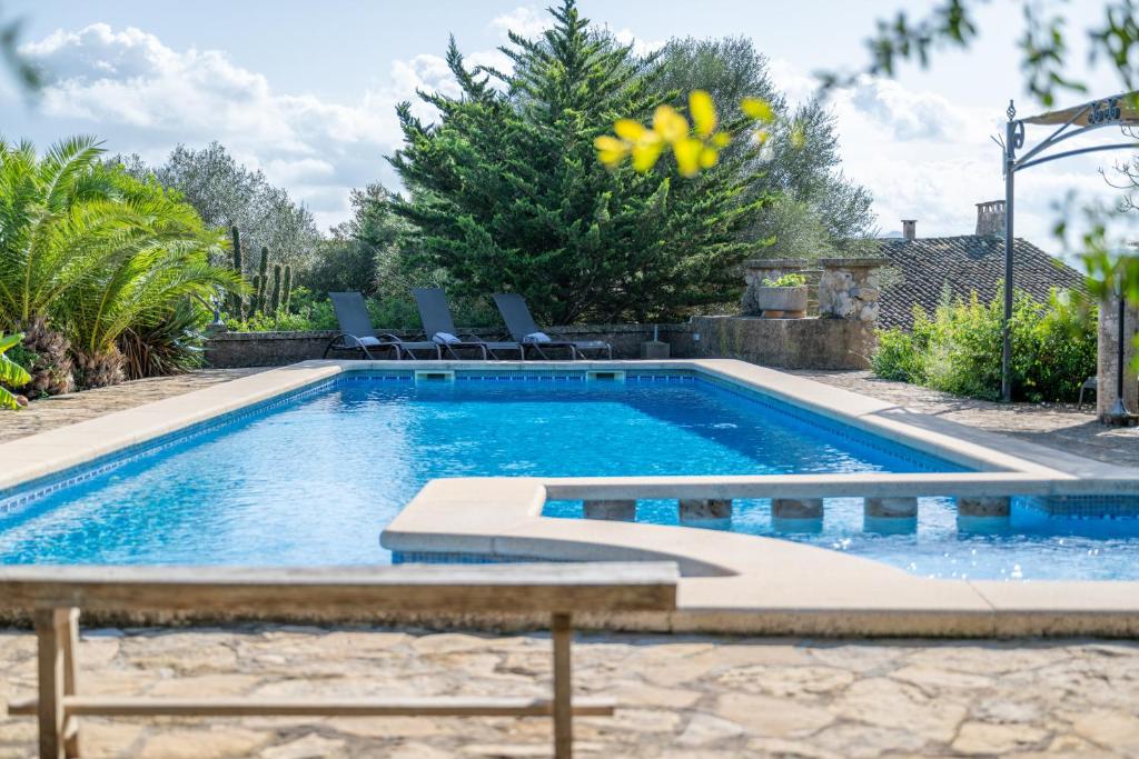 a swimming pool with chairs in a yard at S' Oratge in Islas Baleares