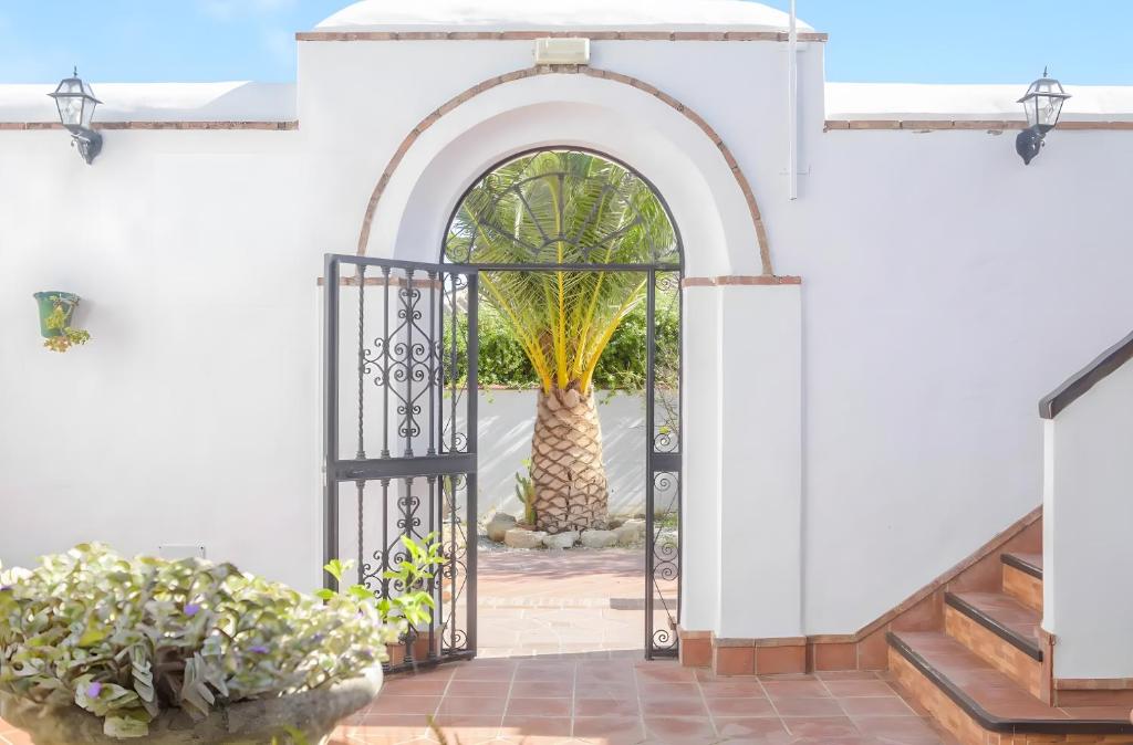 an open gate with a palm tree in the background at Cartuja Rural in Barbate