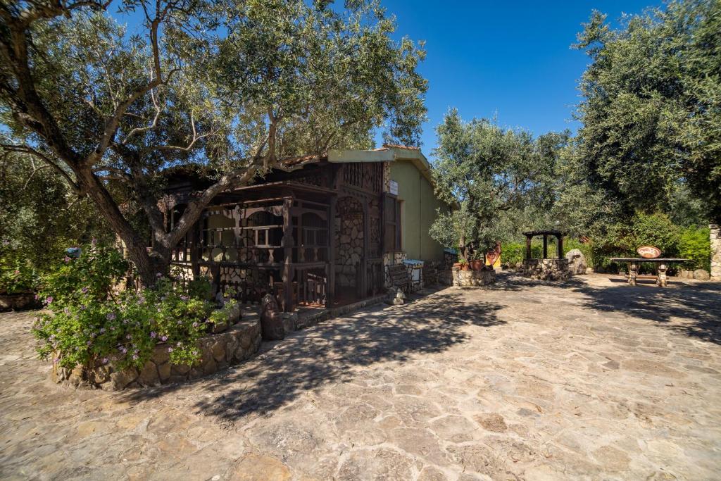 a building with a tree in front of it at Casa Lilliu in Villacidro