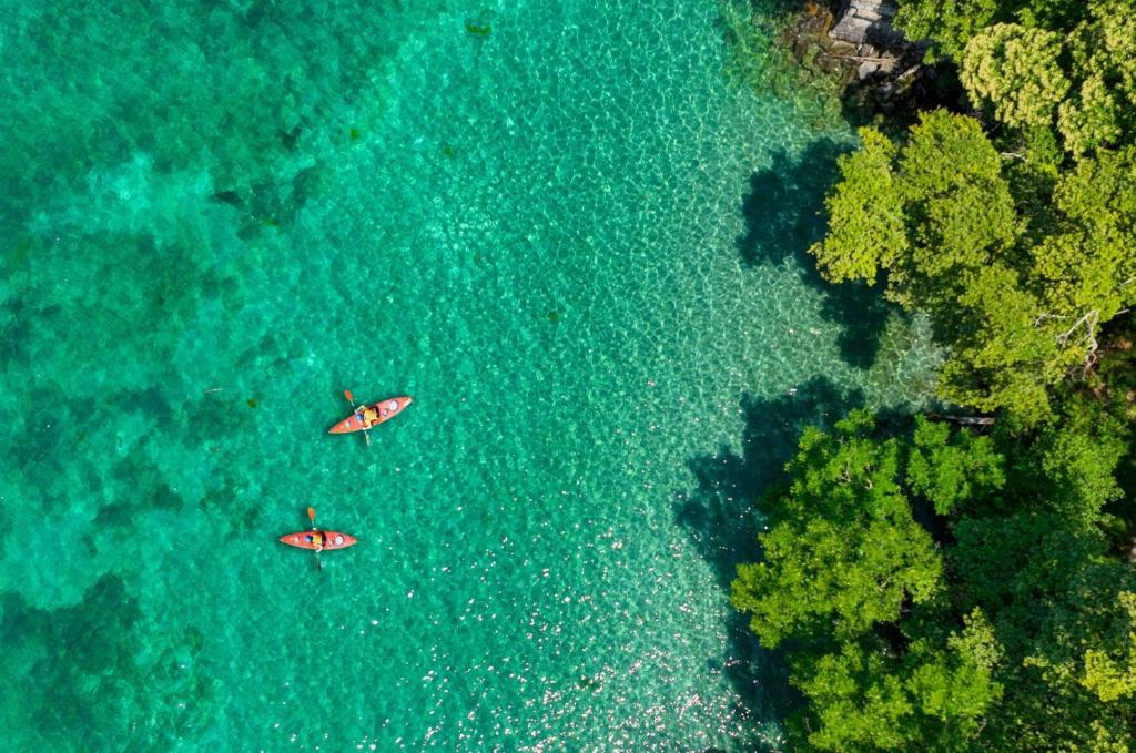 two kayaks in the water next to a forest at Chalet 35m2 3 chambres in Sciez