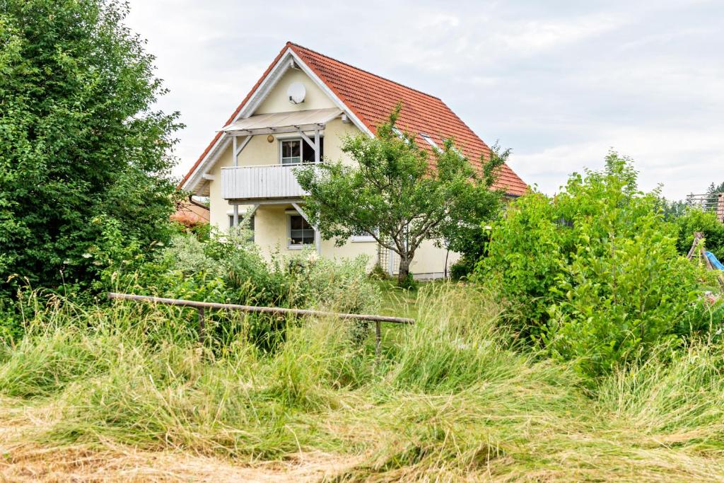 a house in the middle of a field of grass at Beutenmühle Straussenfarm Dach in Owingen