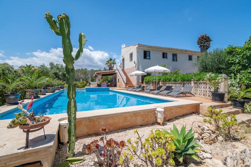 a villa with a swimming pool and a cactus at Villa Juana Maria in Cala Murada