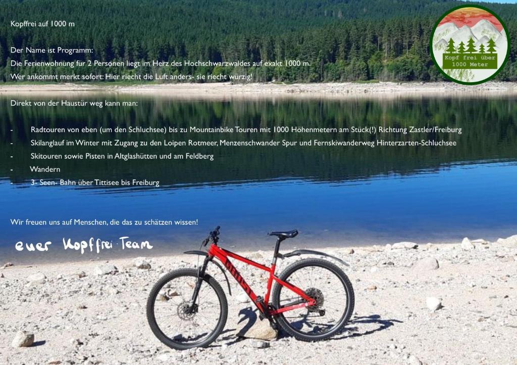 a red bike parked on the sand near a lake at Kopf Frei auf 1000 Meter Wohnung 1 in Feldberg