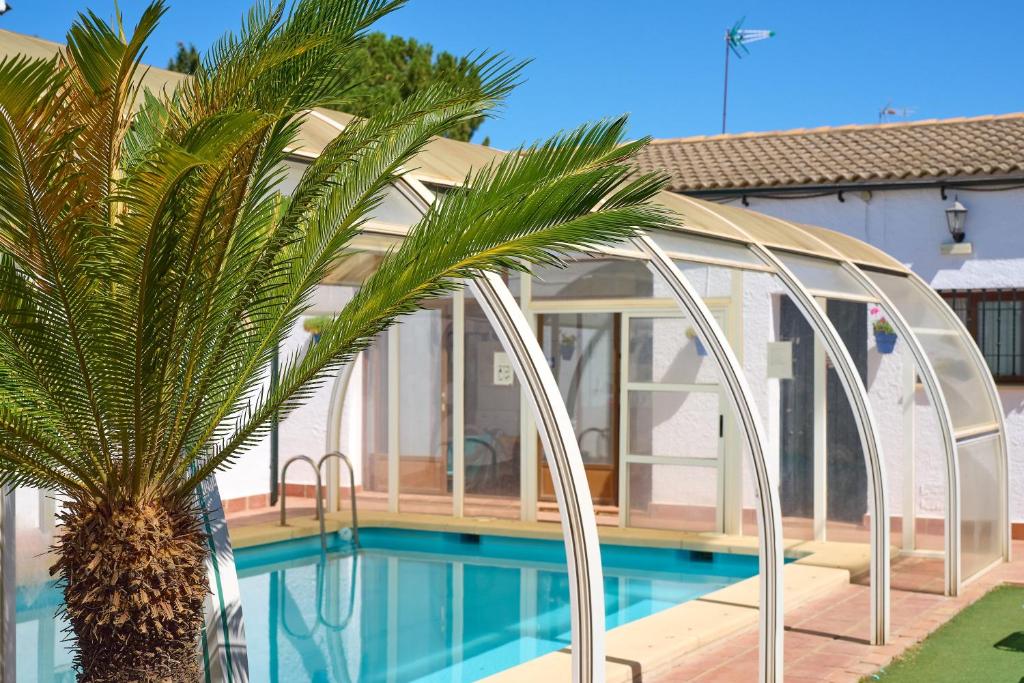 a house with a pool and a palm tree at Rivero Rural in Rivero de Posadas