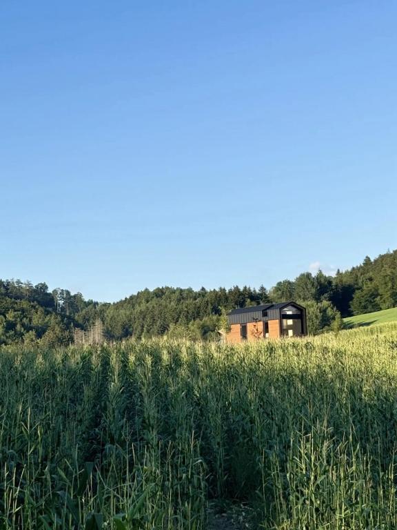 a house in the middle of a field of grass at Zuhause im Freien in Stockach