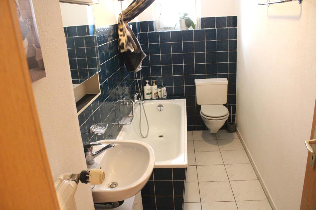 ein Badezimmer mit Waschbecken und Toilette in der Unterkunft Am Bodensee in Rorschach