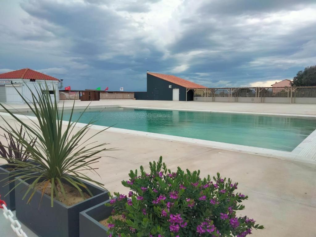 a swimming pool with some plants and flowers at Chez Colette d'en bas in Le Barcarès