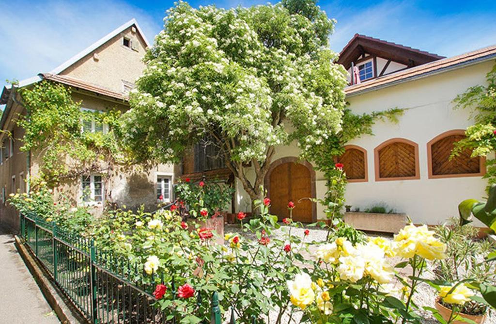 a house with a garden of flowers in front of it at Ferienwohnungen Altes Rathaus in Vogtsburg
